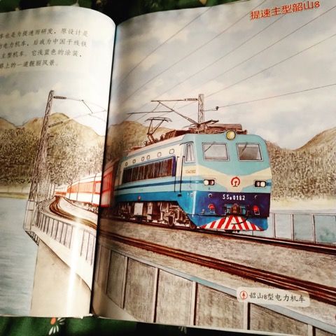 每次见到韶山8这一页，就吵着要去广州东站附近的天桥看火车，在那里就能见到韶山8
